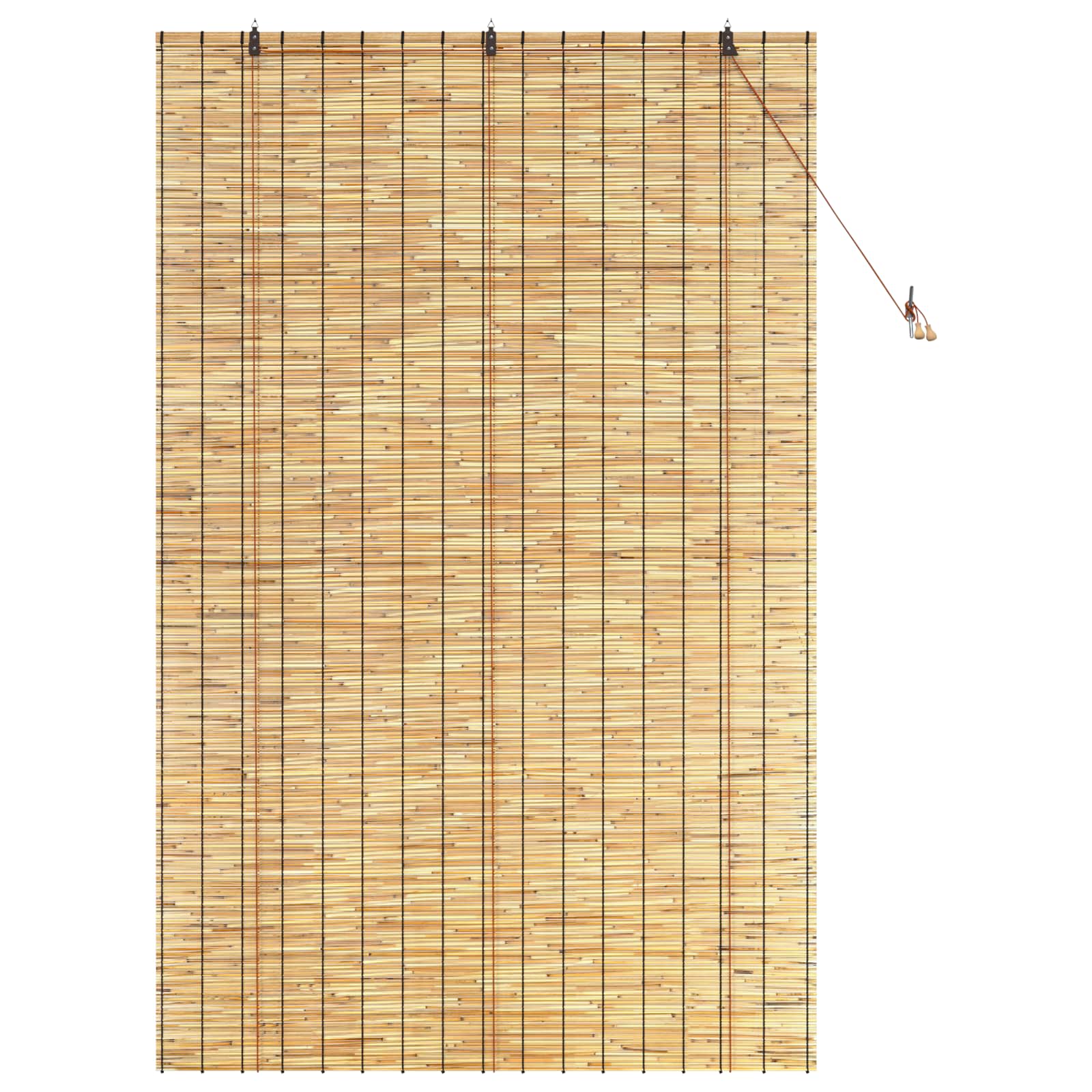 Rolgordijn Naturel 140 x 220 cm Riet is nu te koop bij PeponiXL, paradijselijk wonen!