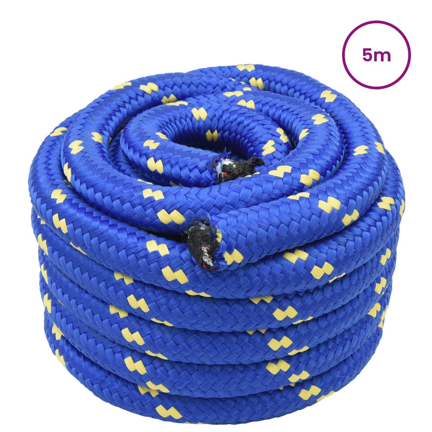Boottouw 5 m 4 Blauw PP