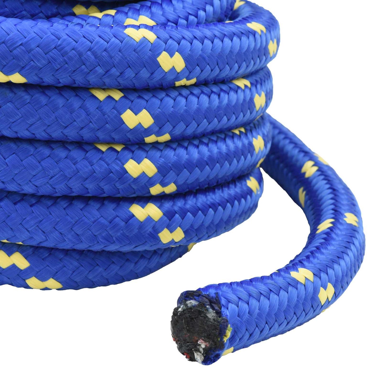 Boottouw 10 m 4 Blauw PP