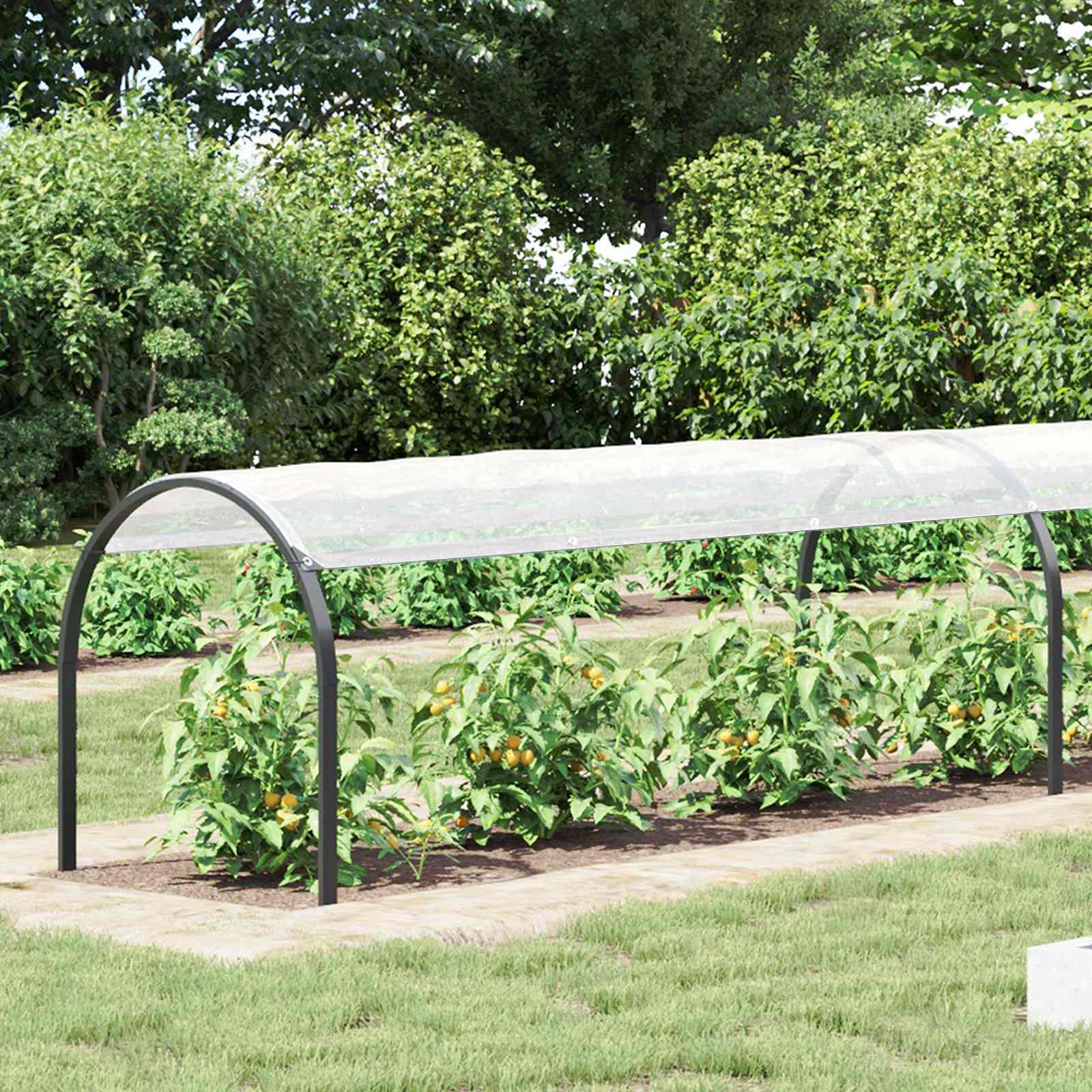 Afdekzeil met oogjes Doorzichtig 10 x 1,5 m Polyetheen is nu te koop bij PeponiXL, paradijselijk wonen!