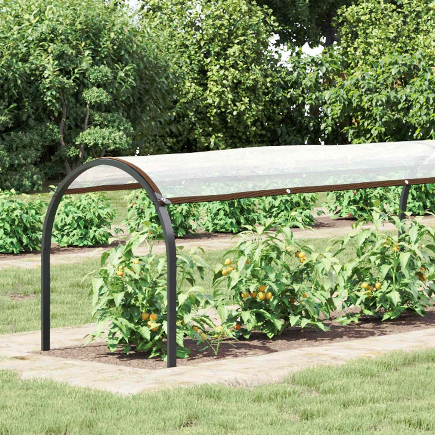 Plantenhoes Doorzichtig 10 x 1,5 m PE is nu te koop bij PeponiXL, paradijselijk wonen!