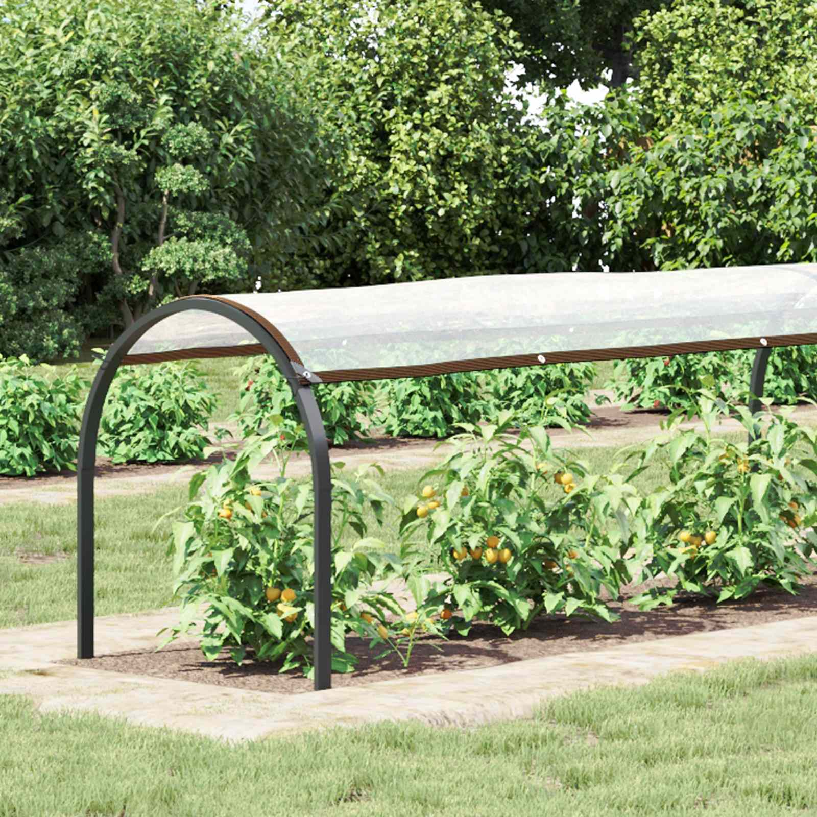 Plantenhoes Doorzichtig 20 x 1,5 m PE is nu te koop bij PeponiXL, paradijselijk wonen!