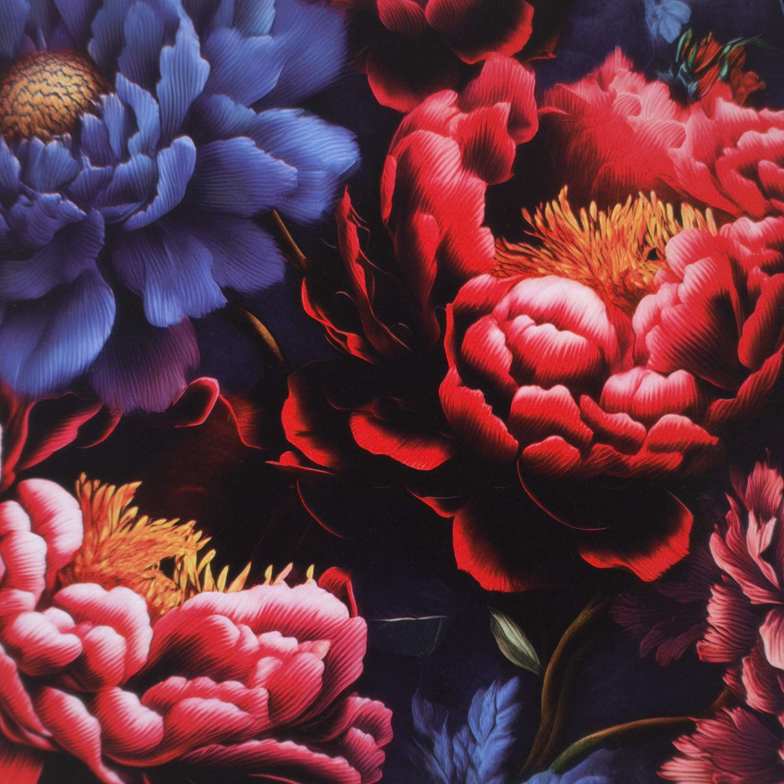 Ladekast KIEL Donker pioenroosprint 66 x 36,5 x 76 cm is nu te koop bij PeponiXL, paradijselijk wonen!