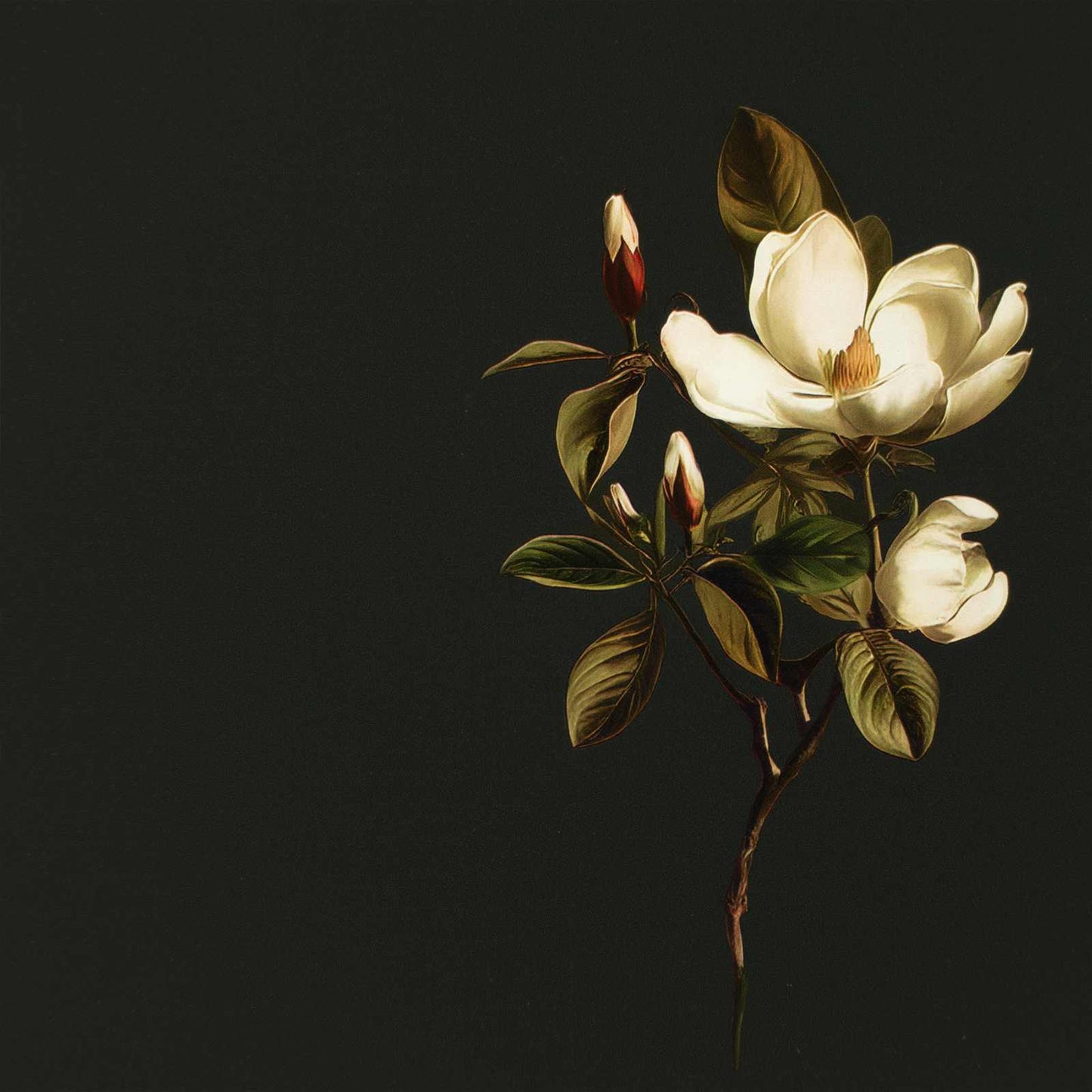 Ladekast BREMEN Magnolia print 66 x 36,5 x 76 cm Bewerkt hout is nu te koop bij PeponiXL, paradijselijk wonen!