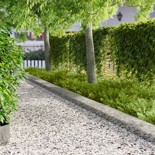 Gazonrand 10 pcs 103 x 25 cm Staal Zilverkleurig is nu te koop bij PeponiXL, paradijselijk wonen!