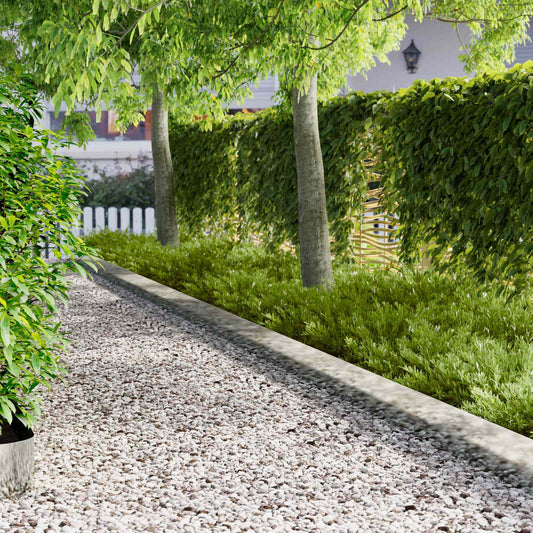 Gazonrand 30 pcs 102 x 15 x 4 cm Staal Zilverkleurig is nu te koop bij PeponiXL, paradijselijk wonen!