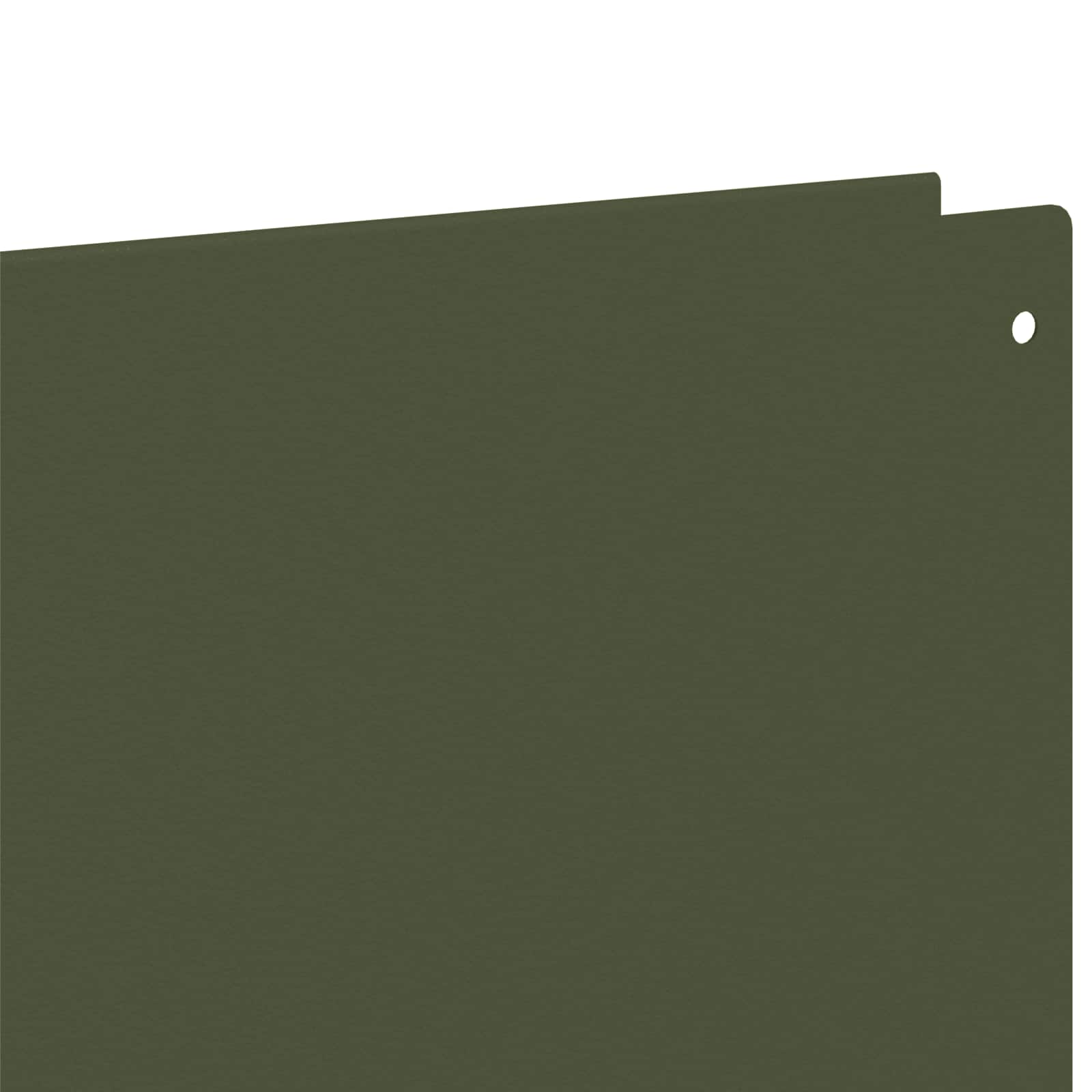 Gazonrand 10 st 100 x 18 cm Staal Olijfgroen is nu te koop bij PeponiXL, paradijselijk wonen!