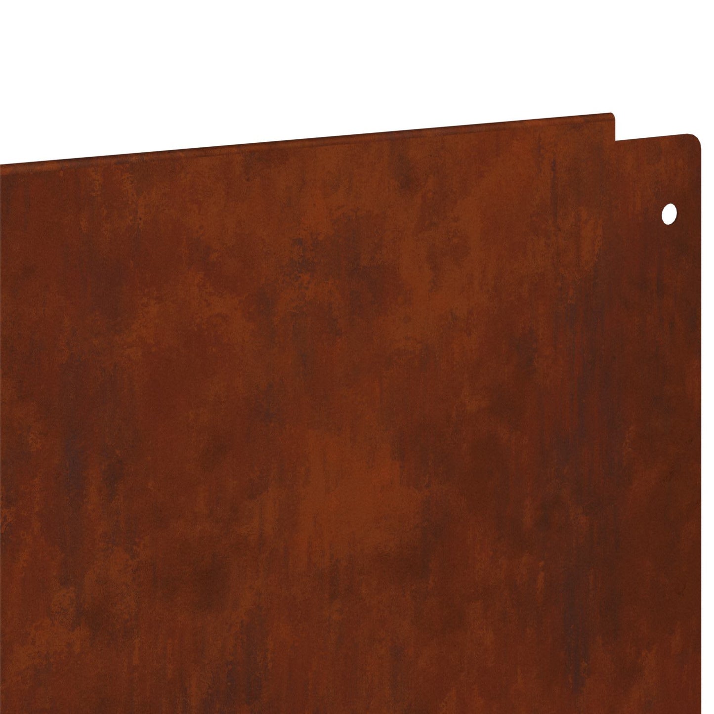 Gazonrand 10 pcs 100 x 22 cm Staal Roestig