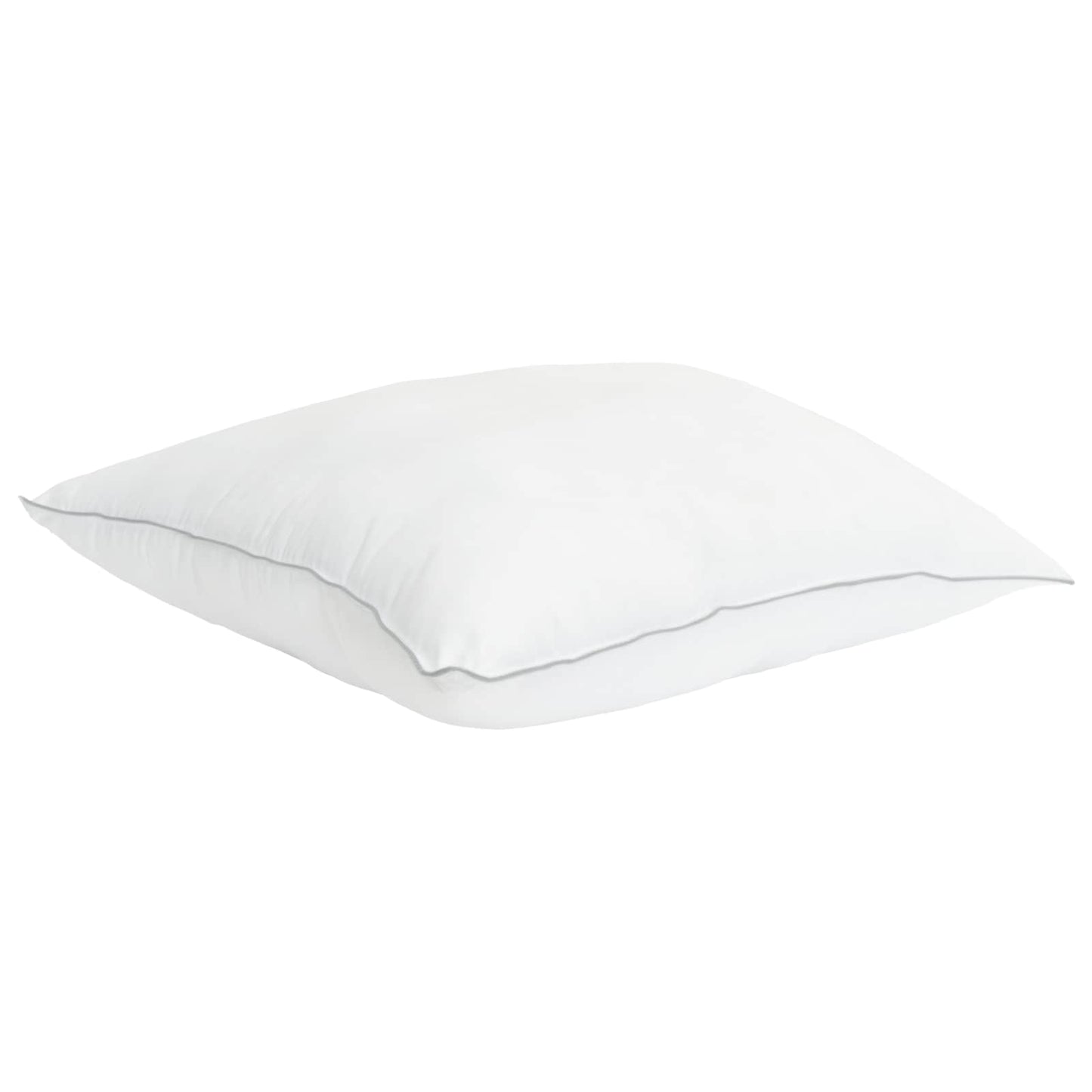 Hoofdkussen 2 pcs Wit 65 x 65 cm Bamboevezel