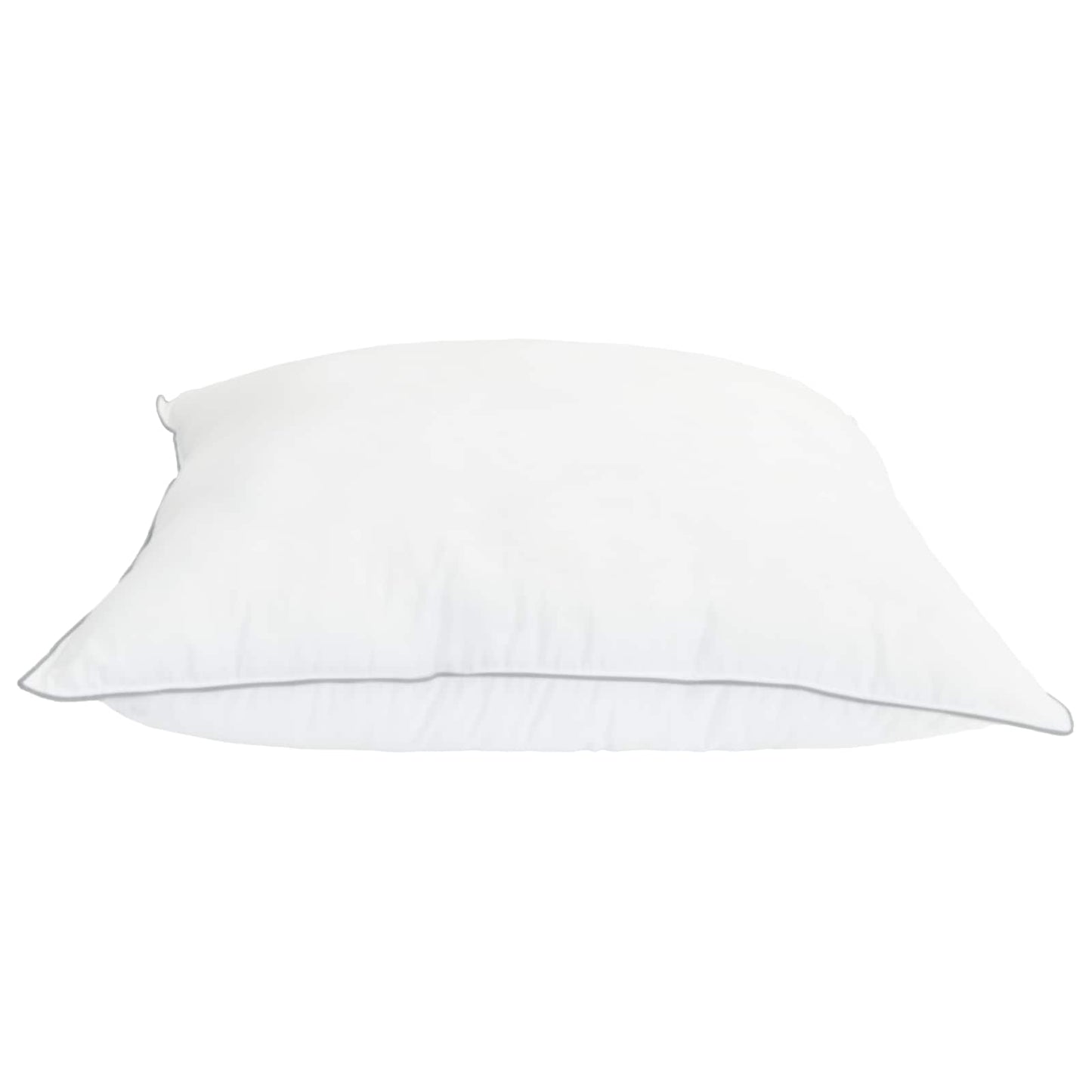 Hoofdkussen 2 pcs Wit 65 x 65 cm Bamboevezel