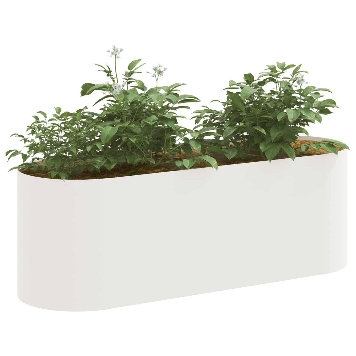 Verhoogd Tuinbed Wit 120 x 40 x 40 cm is nu te koop bij PeponiXL, paradijselijk wonen!