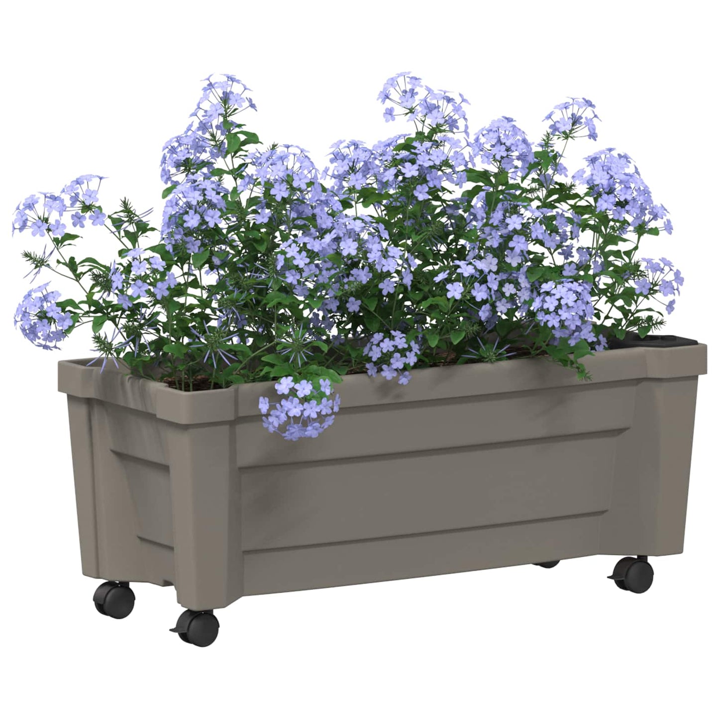 Calypso plantenbak met wielen Grijs 79 x 35 x 33 cm PP is nu te koop bij PeponiXL, paradijselijk wonen!