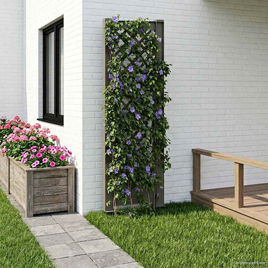 Trellis met Spike Grijs 43 x 6 x 165 cm PP is nu te koop bij PeponiXL, paradijselijk wonen!