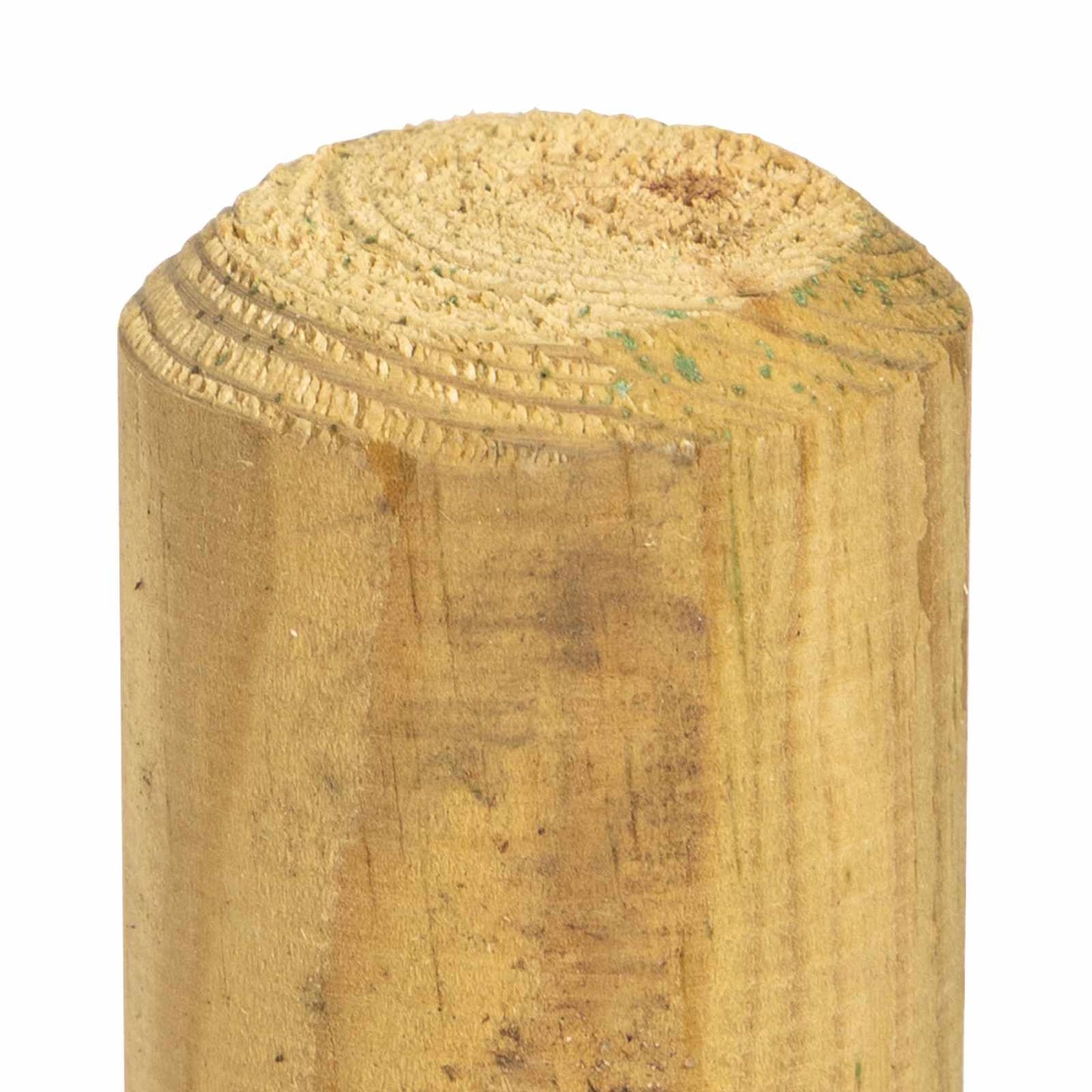Hekpalen 15 st Groen 60 cm Massief grenenhout is nu te koop bij PeponiXL, paradijselijk wonen!