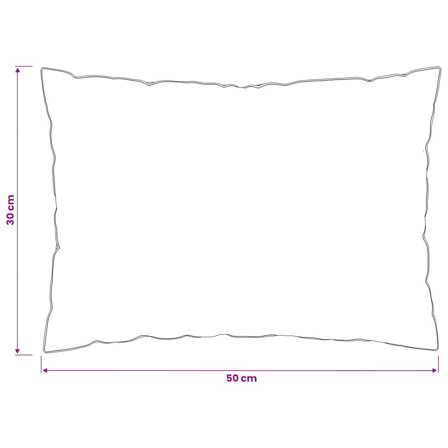 Hoofdkussen FULDA 2 pcs 30 x 50 cm 100% Ganzendons en Veer Wit