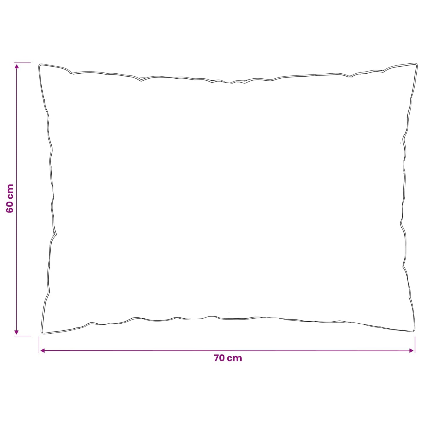 Hoofdkussen FULDA 2 pcs 60 x 70 cm 100% Ganzendons en Veer Wit