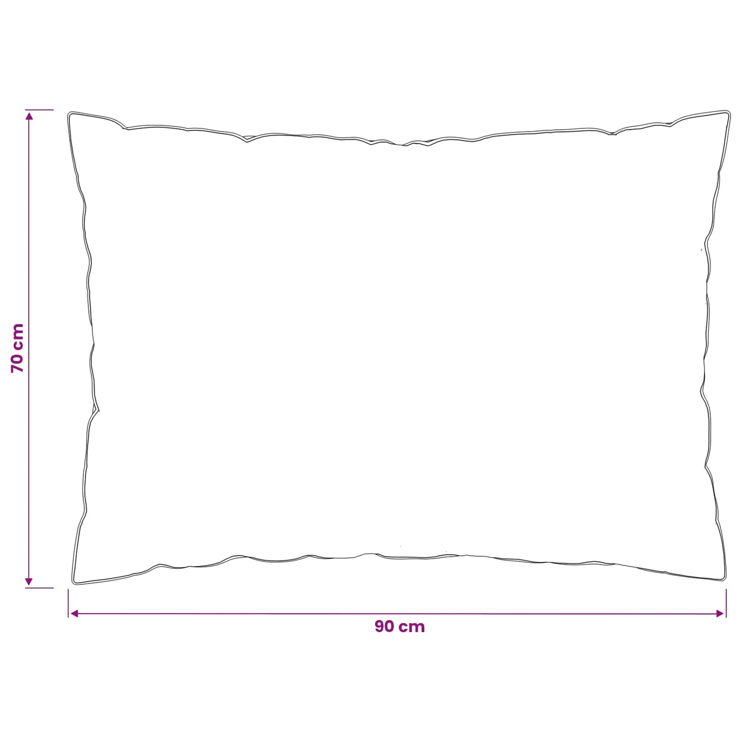 Hoofdkussen FULDA 2 pcs 70 x 90 cm 100% Ganzendons en Veer Wit