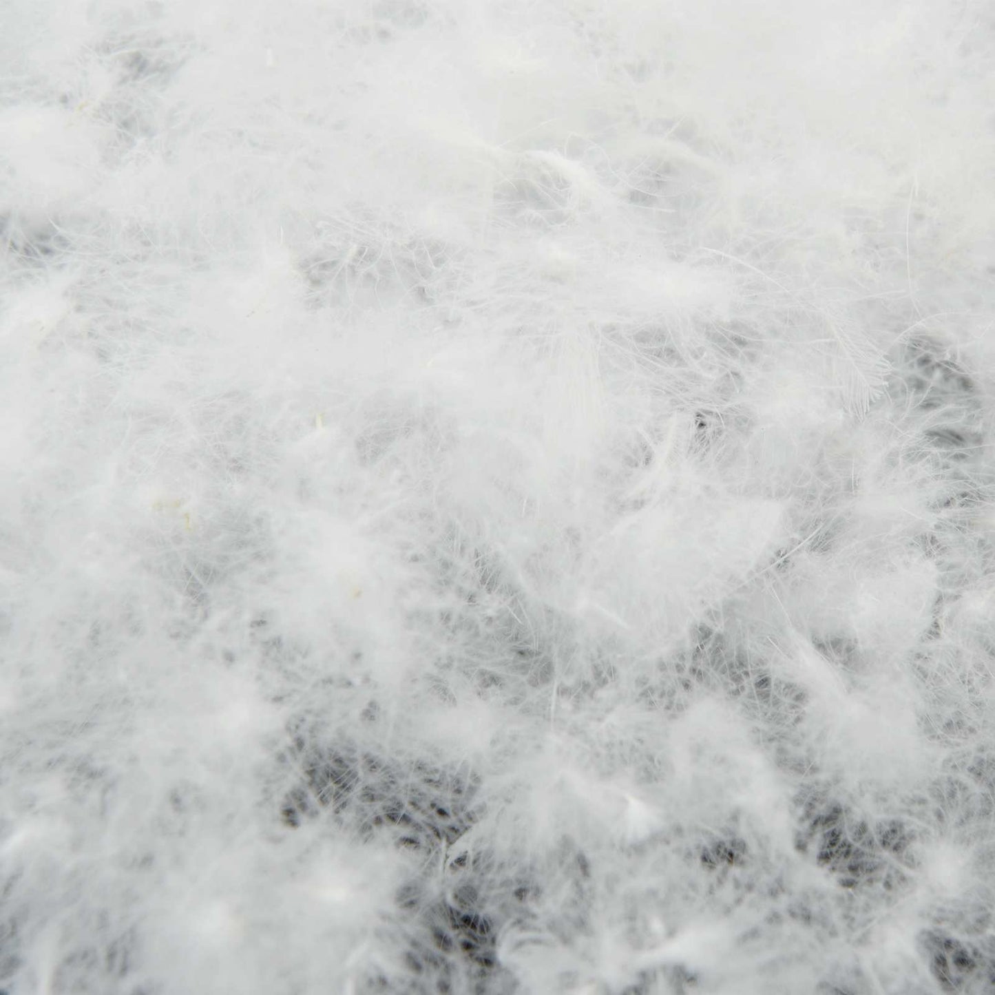 Dekbed FULDA 220 x 240 cm Winter 300 GSM 90% Gansendons Wit is nu te koop bij PeponiXL, paradijselijk wonen!