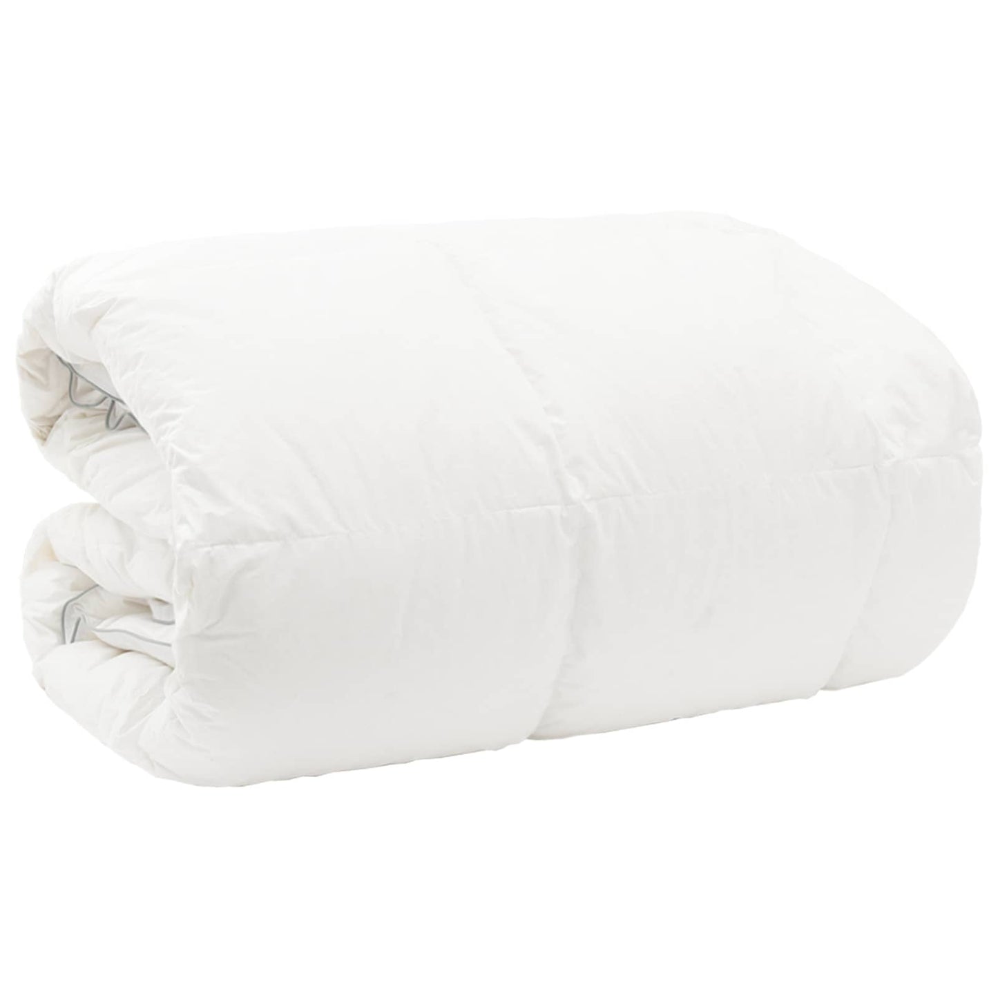 Dekbed FULDA 240 x 260 cm Winter 300 GSM 90% Gansendons Wit is nu te koop bij PeponiXL, paradijselijk wonen!