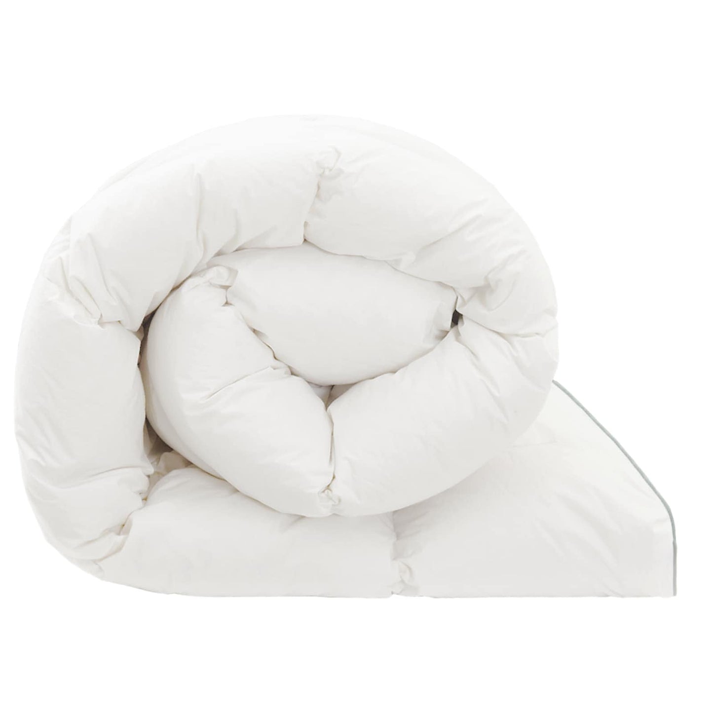 Dekbed FULDA 240 x 260 cm Winter 300 GSM 90% Gansendons Wit is nu te koop bij PeponiXL, paradijselijk wonen!