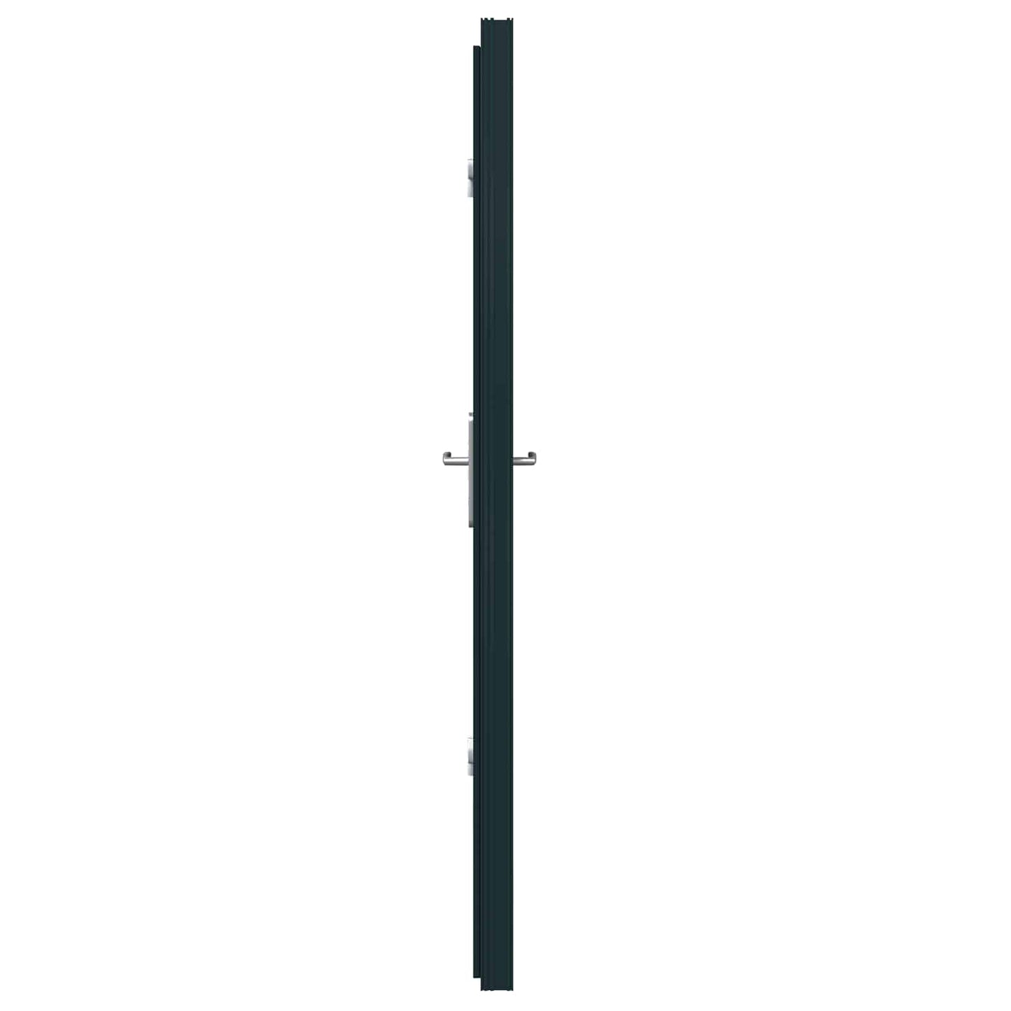 Voordeur Antracietkleurig 98 x 200 cm PVC is nu te koop bij PeponiXL, paradijselijk wonen!