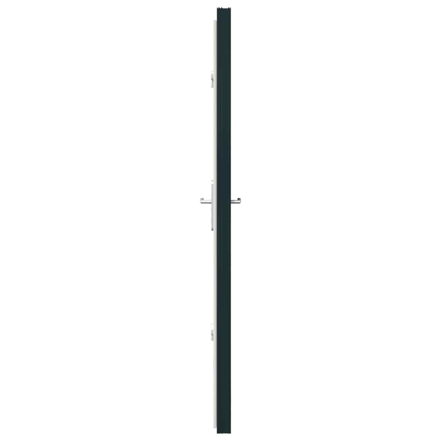 Voordeur Antracietkleurig 108 x 208 cm PVC is nu te koop bij PeponiXL, paradijselijk wonen!