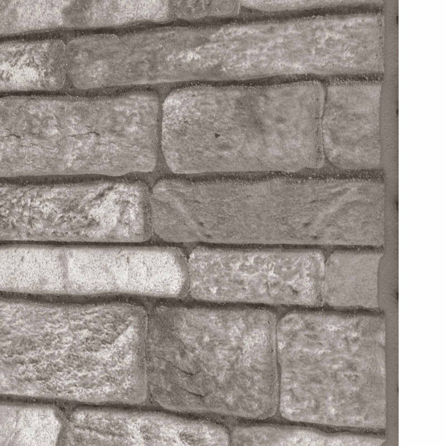 Wandpanelen 10 pcs Donkergrijs 100 x 50 cm EPS-schuim is nu te koop bij PeponiXL, paradijselijk wonen!