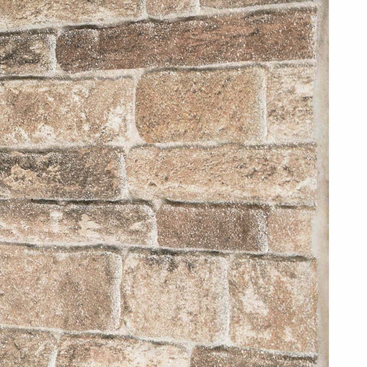 Wandpanelen 10 pcs Multikleur 100 x 50 cm EPS-schuim is nu te koop bij PeponiXL, paradijselijk wonen!