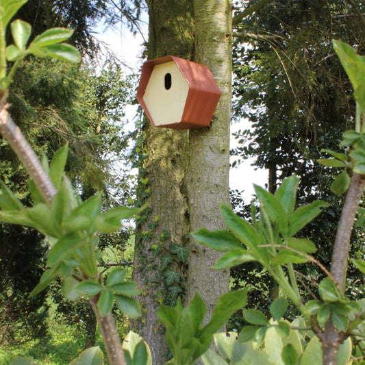 Capi Vogelhuisje Hive 2 ovaal gat 19x23x20 cm bruin is nu te koop bij PeponiXL, paradijselijk wonen!