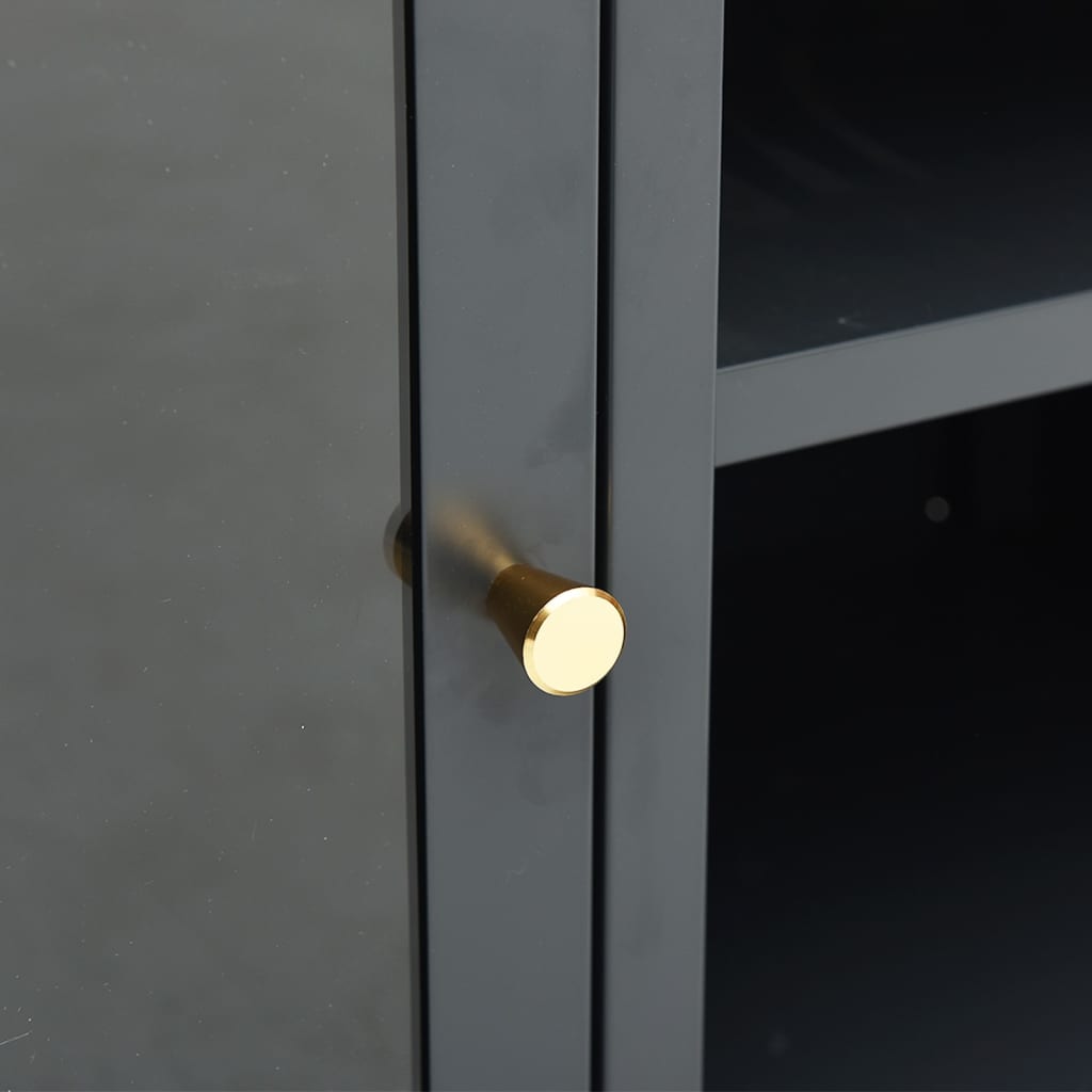 Tv-meubel 105x35x52 cm staal en glas antracietkleurig is nu te koop bij PeponiXL, paradijselijk wonen!