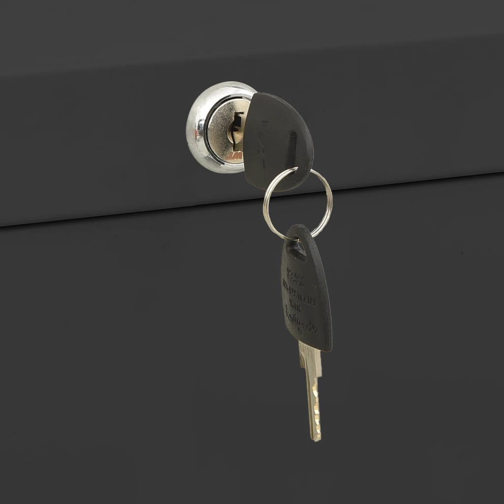 Archiefkast 90x46x134 cm staal antracietkleurig is nu te koop bij PeponiXL, paradijselijk wonen!