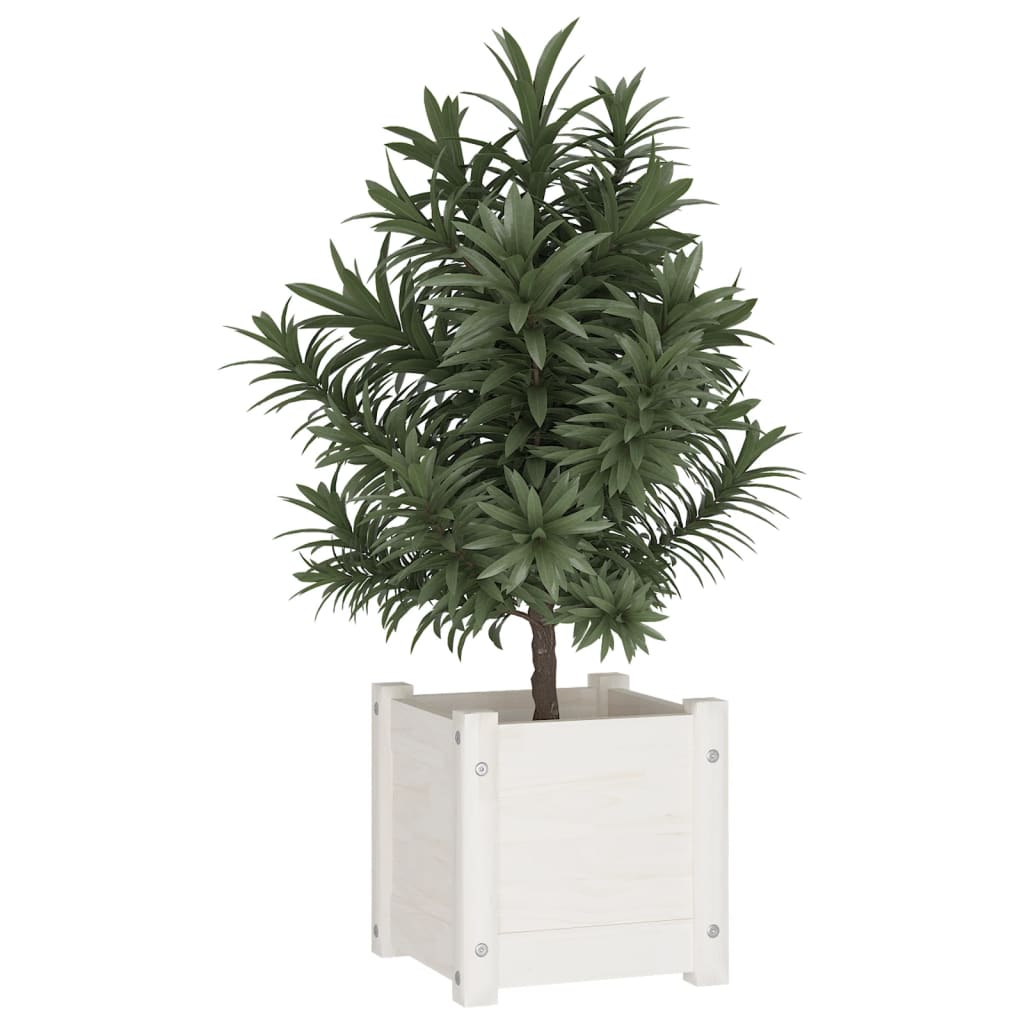 Plantenbak 31x31x31 cm massief grenenhout wit is nu te koop bij PeponiXL, paradijselijk wonen!