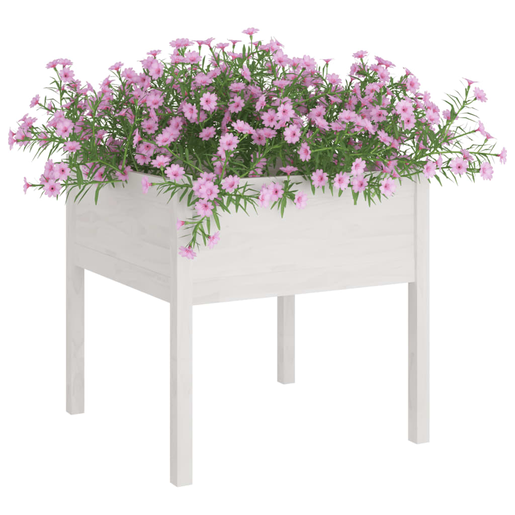 Plantenbak 70x70x70 cm massief grenenhout wit is nu te koop bij PeponiXL, paradijselijk wonen!