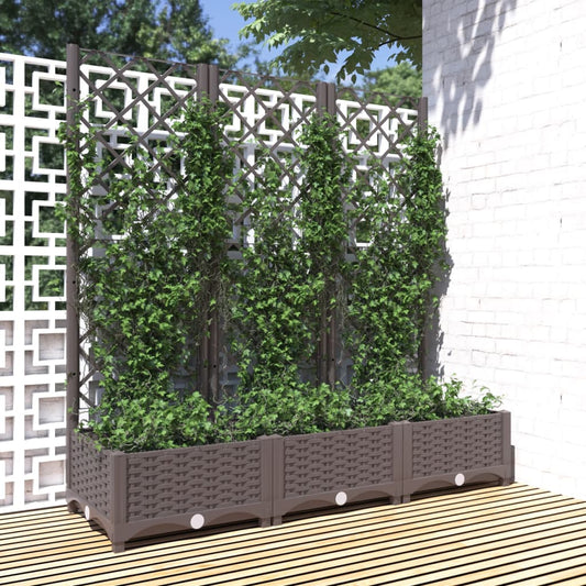 Plantenbak met trellis bruin 120x40x121,5 cm PP is nu te koop bij PeponiXL, paradijselijk wonen!