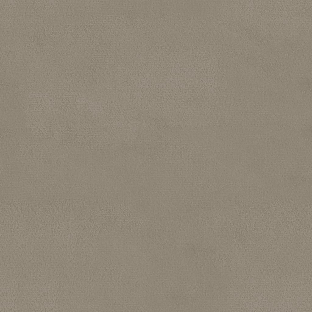 Eetkamerstoelen 2 st fluweel lichtgrijs is nu te koop bij PeponiXL, paradijselijk wonen!