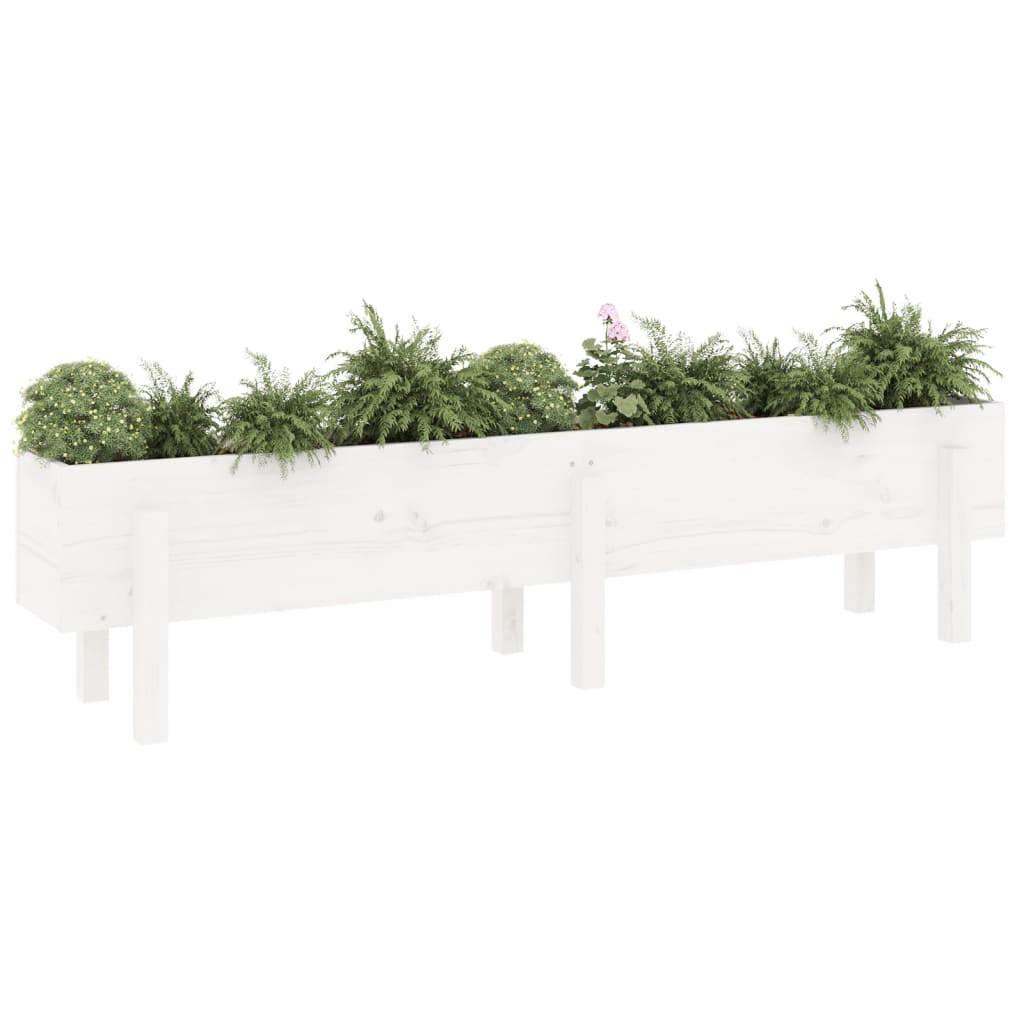 Plantenbak verhoogd 160x30x38 cm massief grenenhout wit is nu te koop bij PeponiXL, paradijselijk wonen!