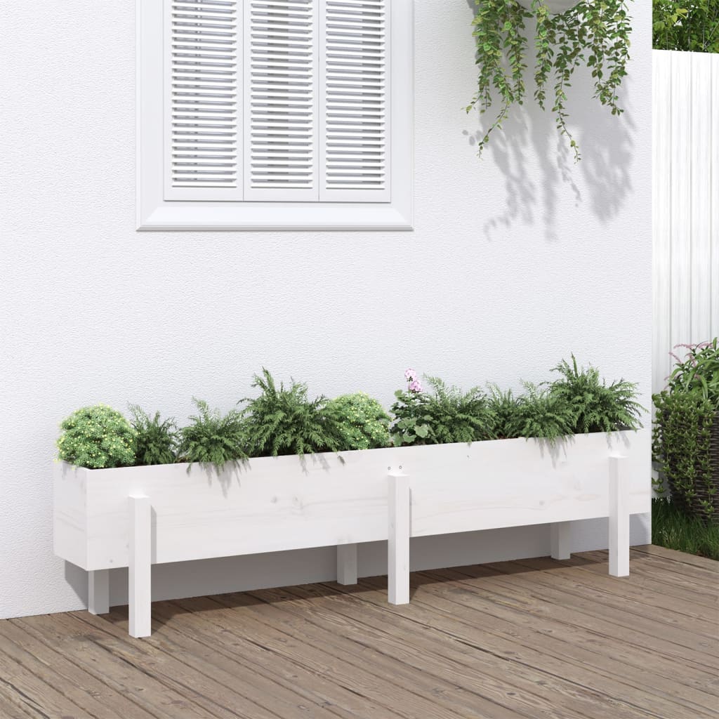 Plantenbak verhoogd 160x30x38 cm massief grenenhout wit is nu te koop bij PeponiXL, paradijselijk wonen!