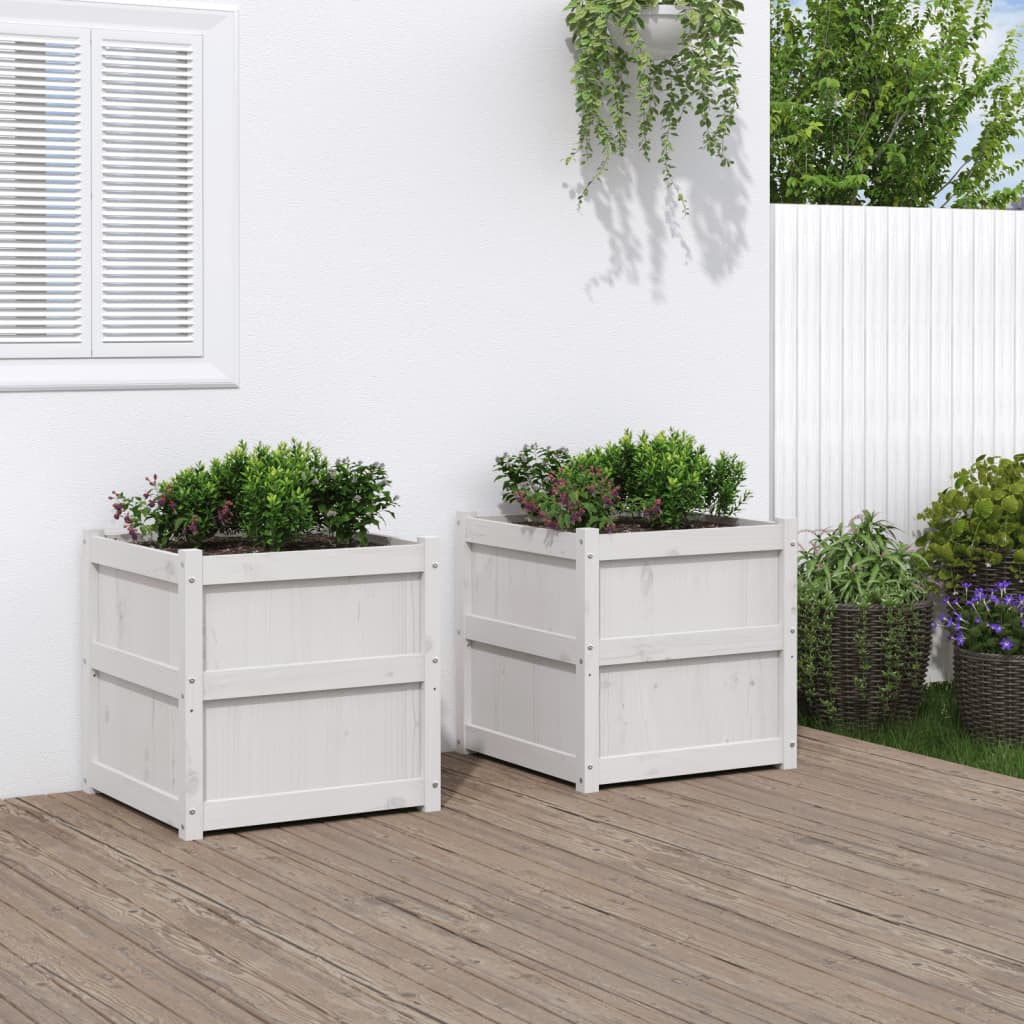 Plantenbakken 2 st cm massief grenenhout wit is nu te koop bij PeponiXL, paradijselijk wonen!