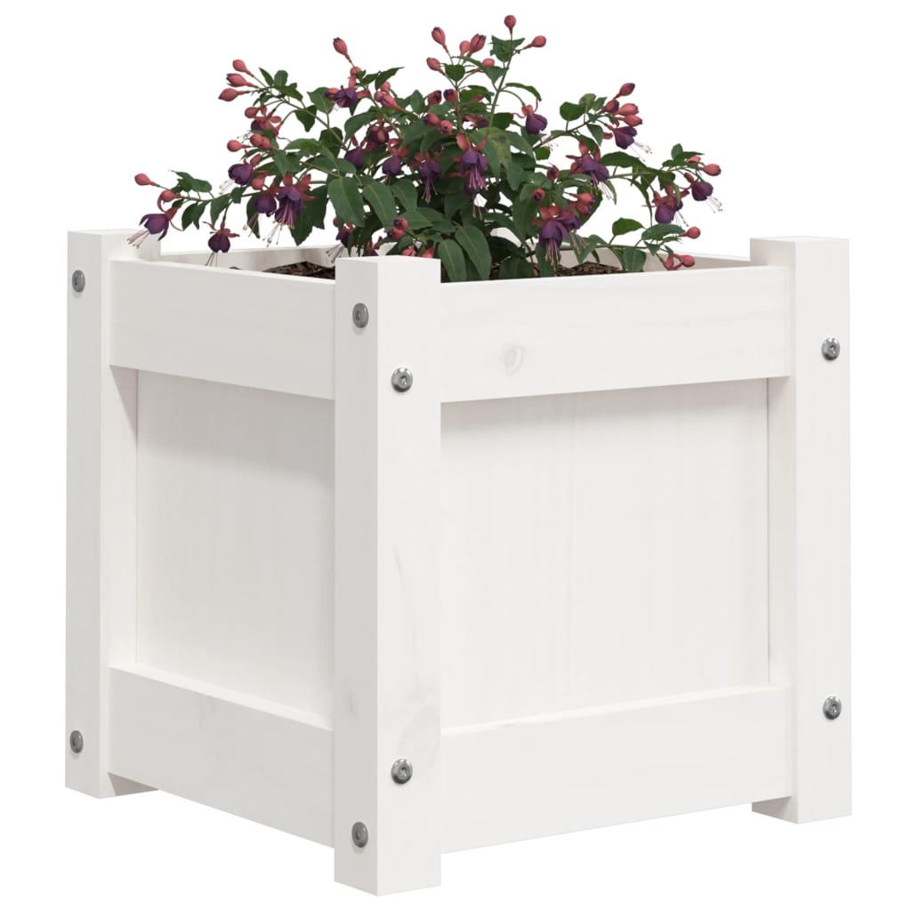 Plantenbak 31x31x31 cm massief grenenhout wit is nu te koop bij PeponiXL, paradijselijk wonen!