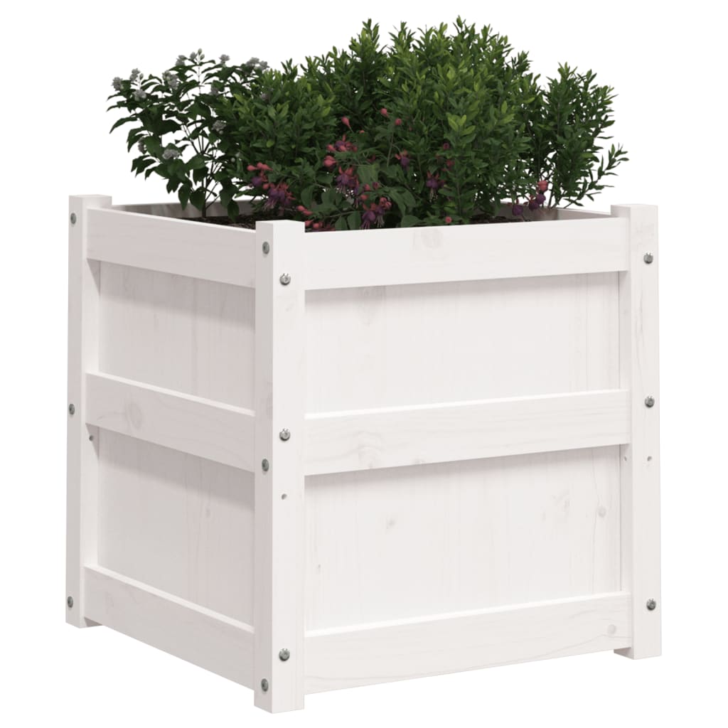 Plantenbakken 2 st cm massief grenenhout wit is nu te koop bij PeponiXL, paradijselijk wonen!