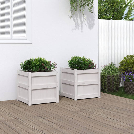 Plantenbakken 2 st cm massief grenenhout wit is nu te koop bij PeponiXL, paradijselijk wonen!